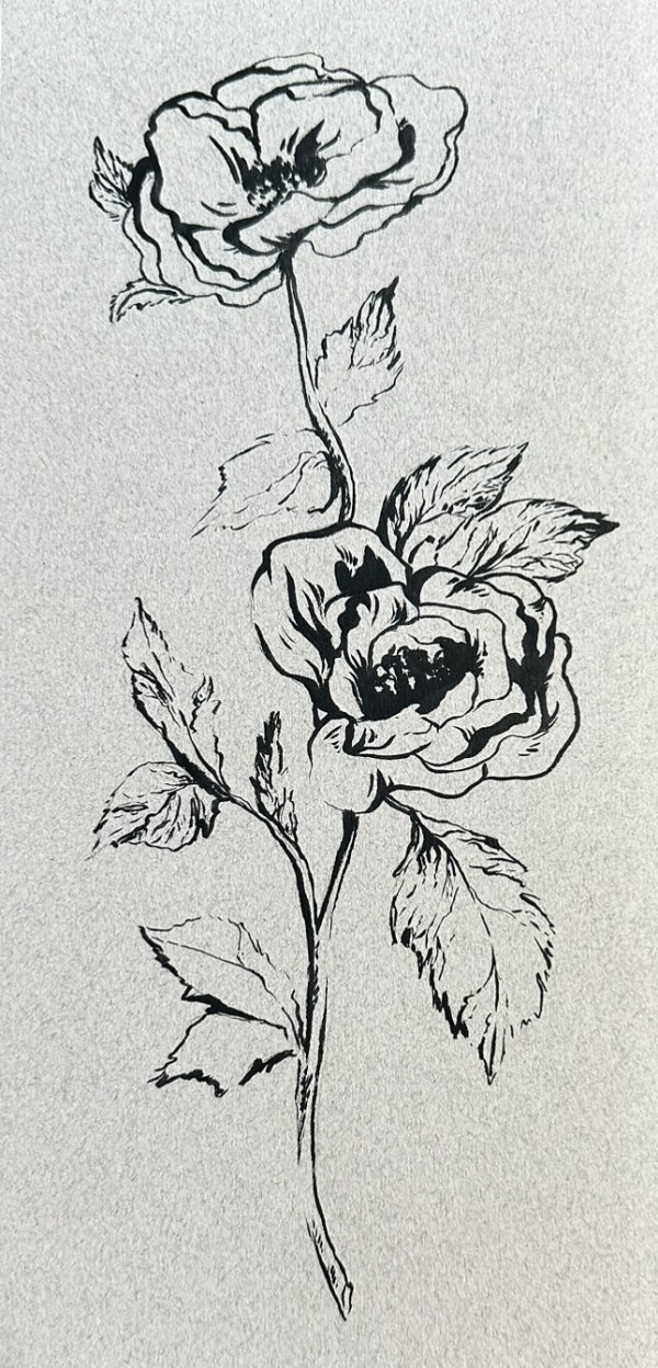Flower Sketch #2 by Katelynn Hoadley