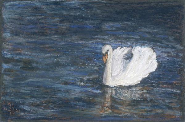 Swan on Lake Geneva by April Hoskins