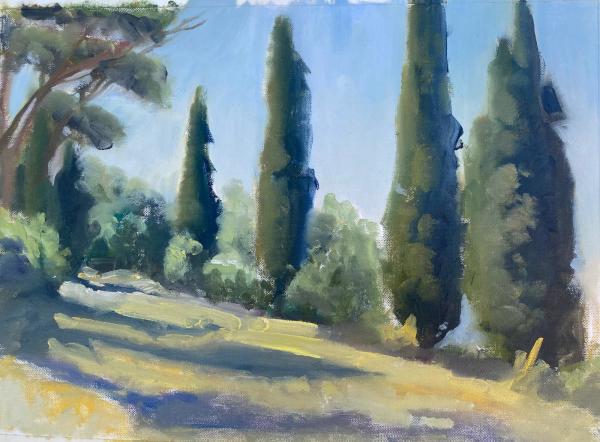 Cypresses by John Bruggink