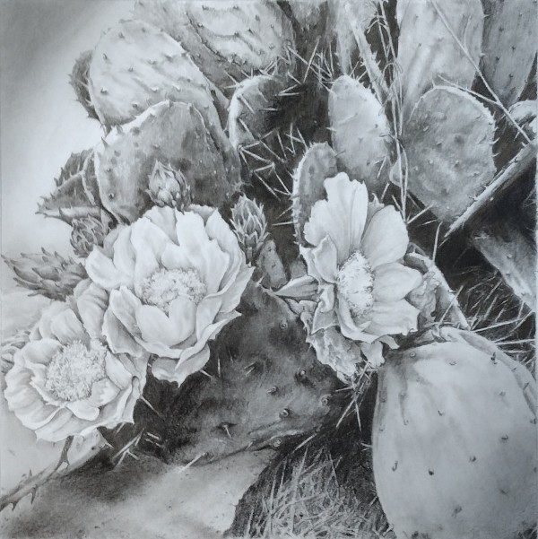 Desert Rose by Lori Jones