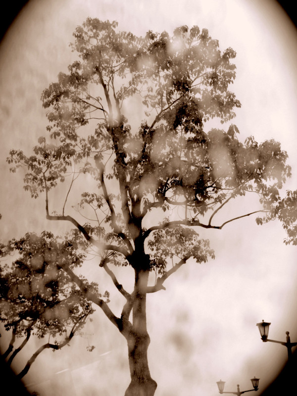 Hiroshima Screen by Karen Safer, Image 7.