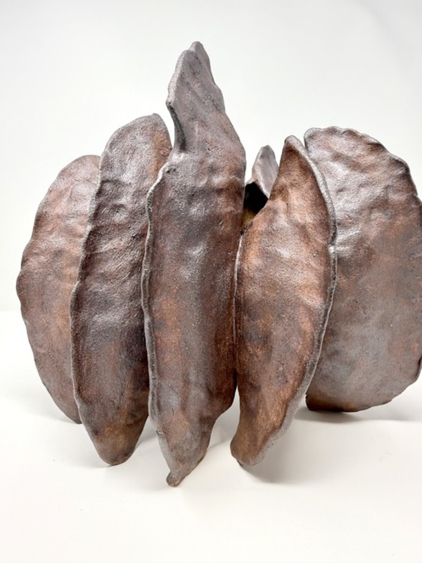 Seed pod by Paola Kassabian