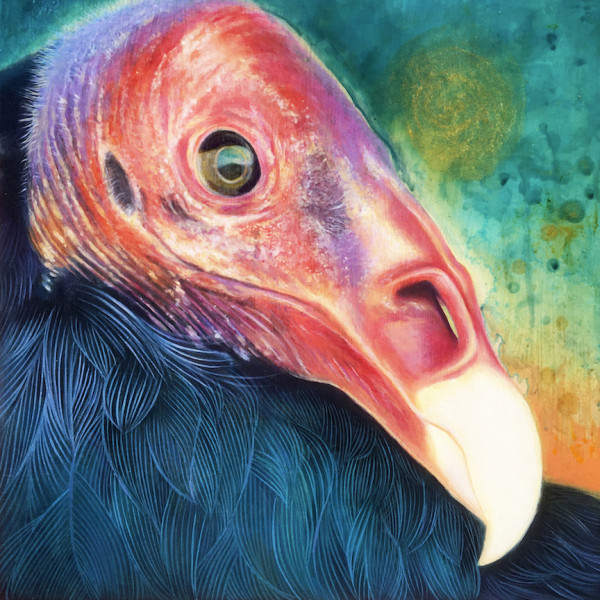 California Turkey Vulture by Annie Kook