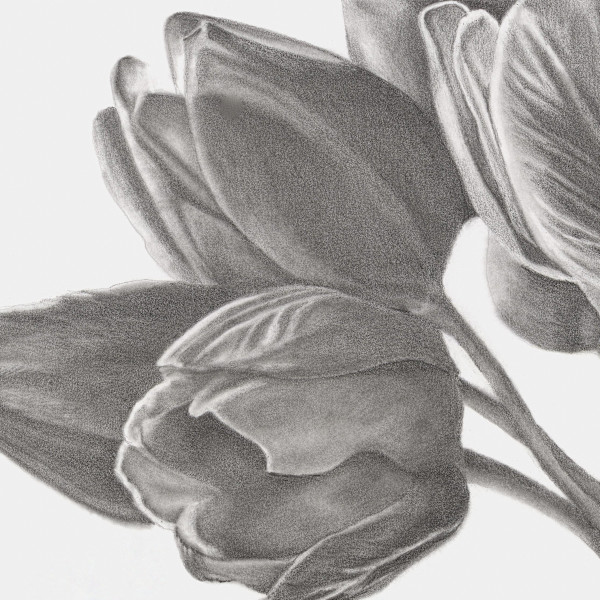 Stillness in Bloom by Leann Thompson, Image 5.