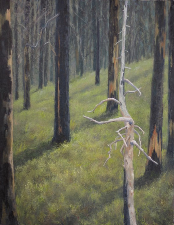 The Snag in Spring by Gayle Martin