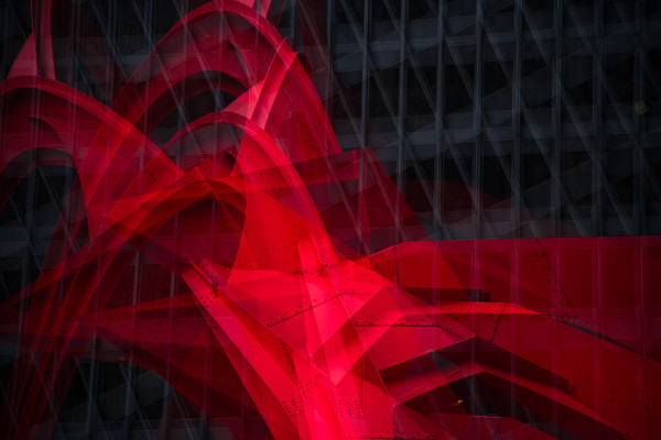 Fragmented Flamingo, Chicago by Morgane Mathews