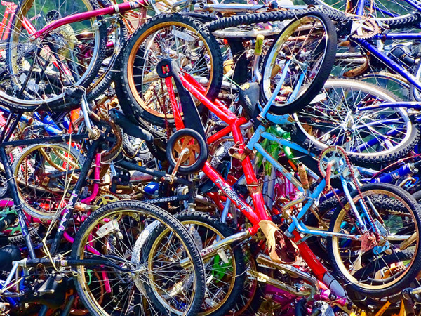 Bicycles by Dave McKinney