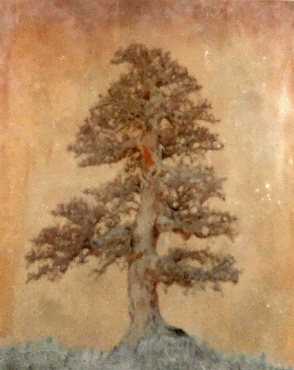 Winter Rest by Mary Lynn McPherson