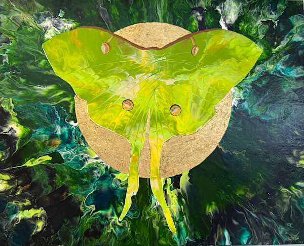 Luna Moth by Erica Miller, Image 14.