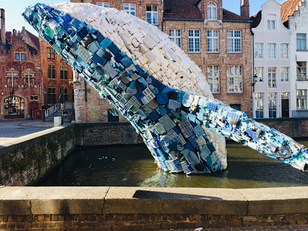 The Whale by Christine Moerenhout-Hubloue, Image 1.