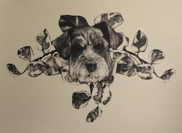 Shiloh by Emily Neslage