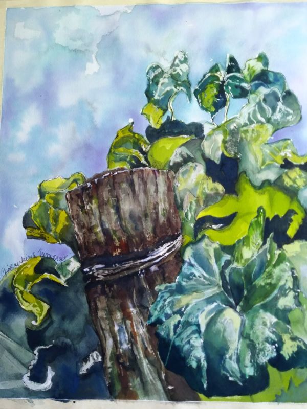 The Harvest by Christine Iriarte Niswonger