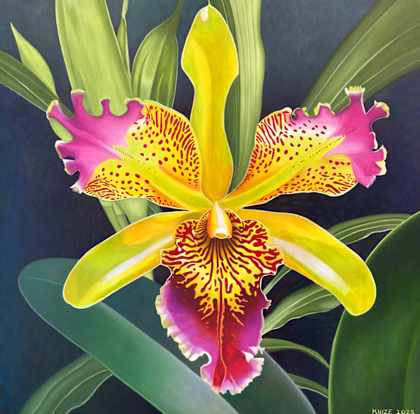 Slick by Christine Knize, Image 1.