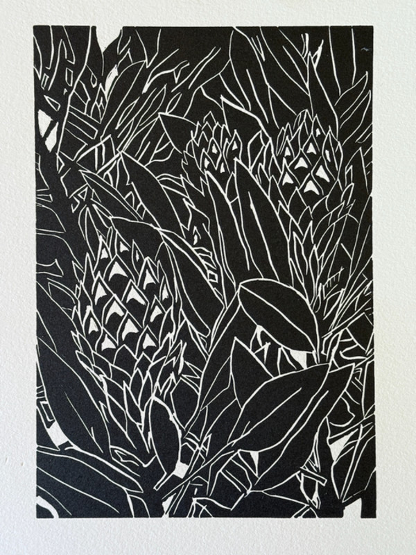 Proteas by David Lynx, Image 1.