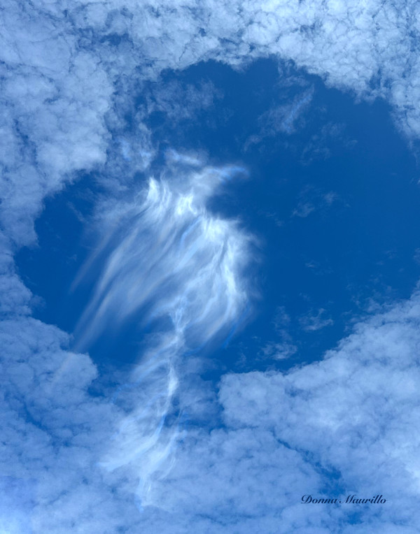 The Spirit Released by Donna R. Maurillo, Image 1.