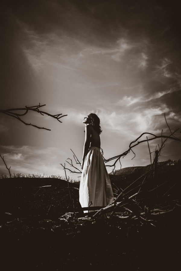 Surrender to the Sky by Jill Sutherland, Image 1.