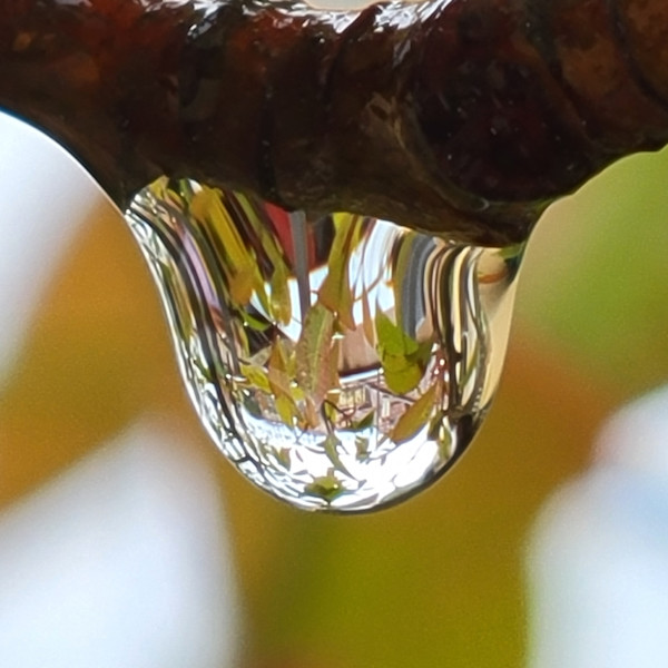 Varenna Raindrop by Marilyn Saks-McMillion, Image 1.