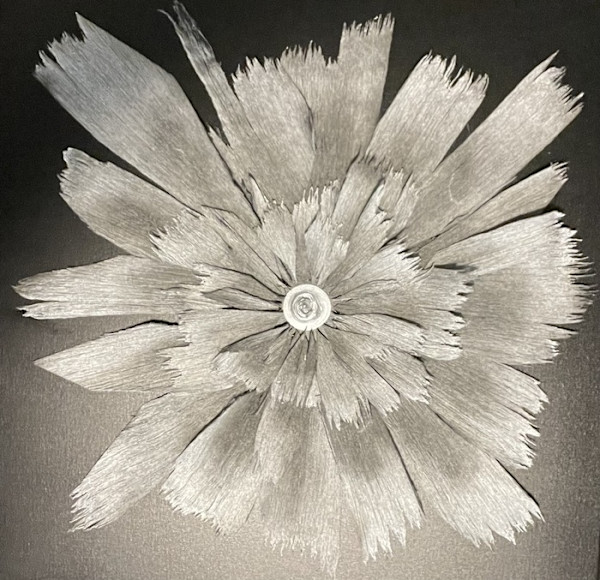 Obsidian Carnation by Oleksandr Brzhezytskyi