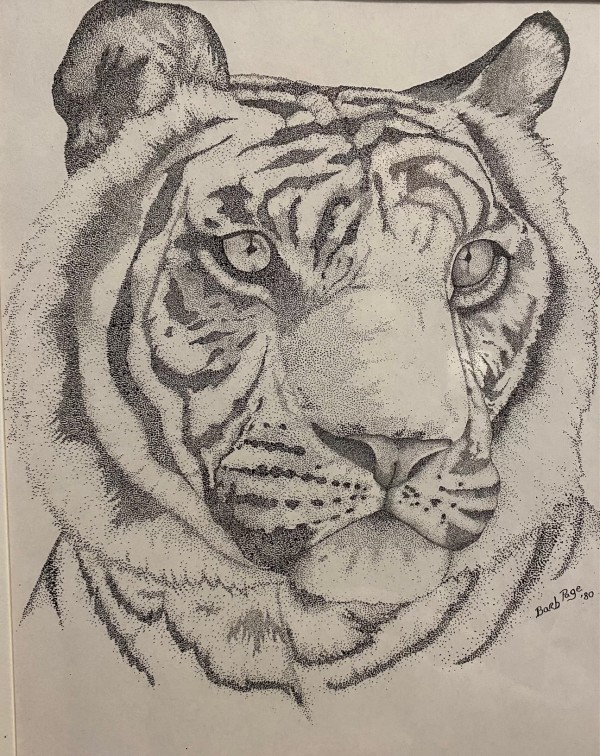 Tiger by Barbara Page