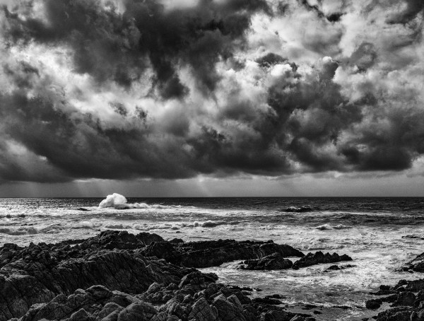 Cypress Point Storm by Robertson Parkman