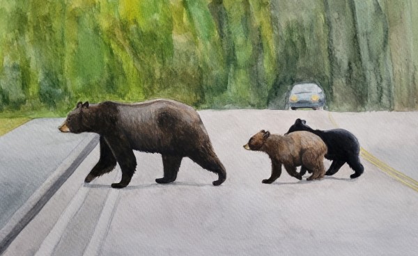 Bears by Iuliia Pozdina