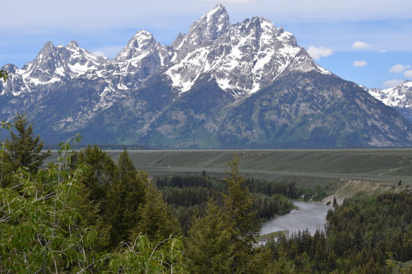 Snake River at the Grand Tetons by Judith Quitoriano