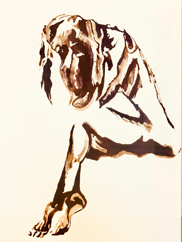 Enigma by Rose Rezaei