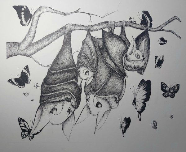 Alliteration: Beautiful Butterflies Bewitch Bashful Bats by Daisy Maribel Rodriguez