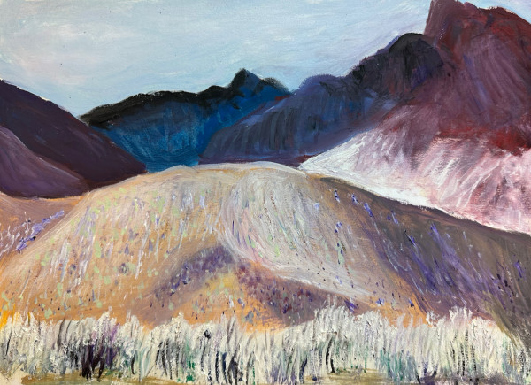 Anza Borrego Mountains by Roger Hamilton