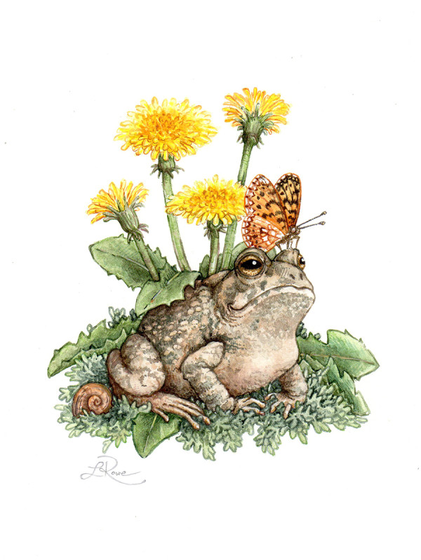 Dandelion Toad by Lucinda Rowe