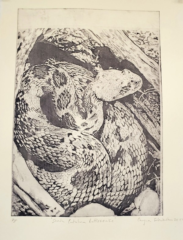 Santa Catalina Rattlesnake I by Caylin Schwartz