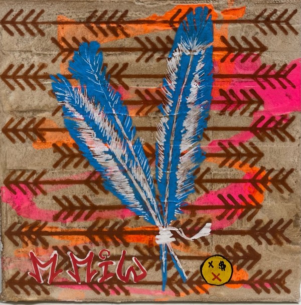 Missing and Murdered Indigenous Women Feathers of Hope by Celeste Seitz