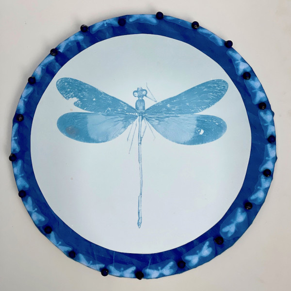Medicine Shield-Dragonfly by Mary K. Shisler