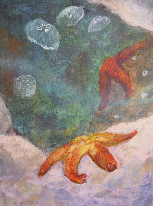 Sea Stars and Moon Jellyfish by Sheila Simpson-Creps