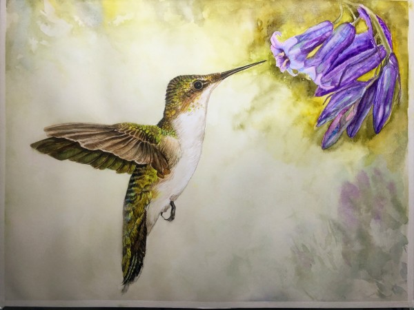 Freedom by Victoria Steed