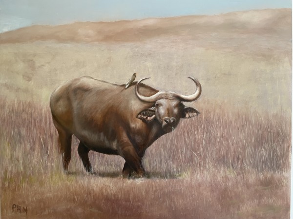 Cape Buffalo by Pamela Sullivan