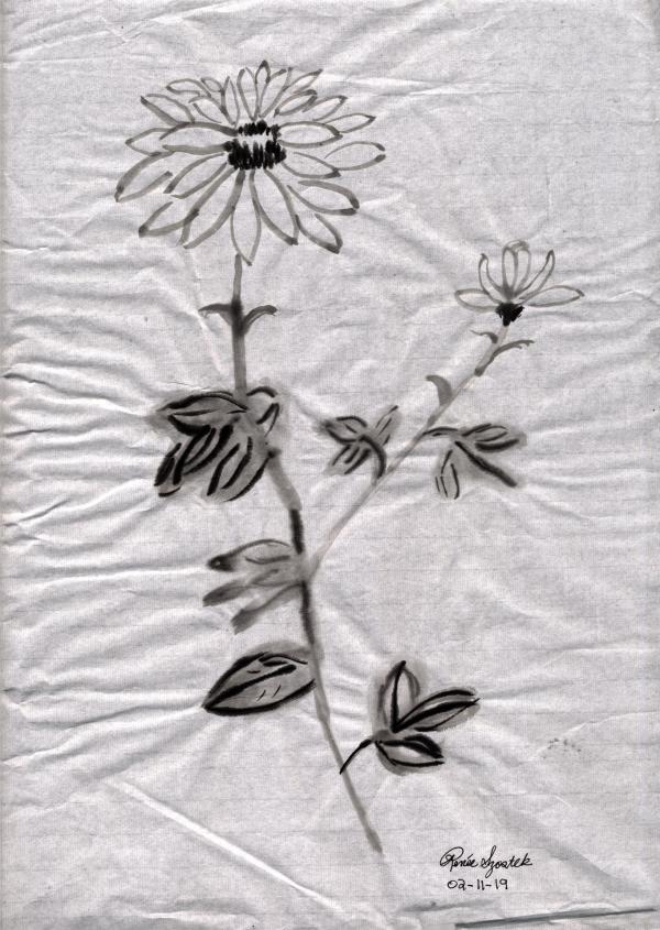 Serene Chrysanthemum by Renée Szostek