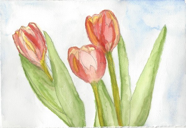 Thoughtful Tulips by Renée Szostek