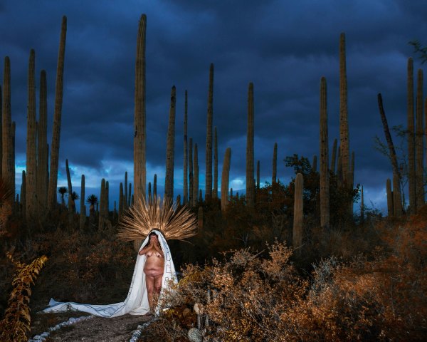 The Virgin of the Cacti by Andres Juarez Troncoso