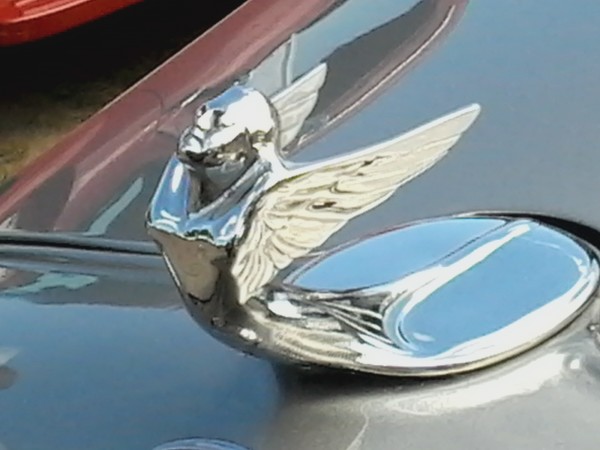 Racing Wings (Antique Hood Ornament) by MaryAnn Valla