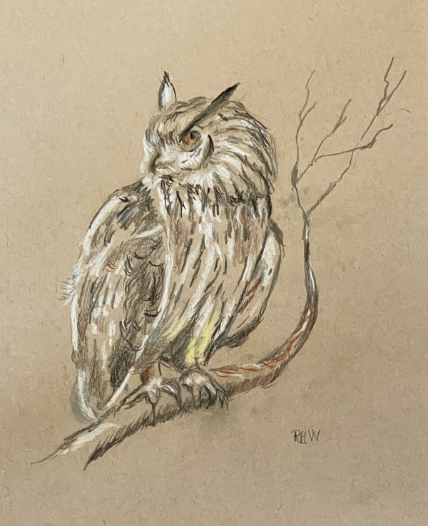 Scottish Owl by Rich Wagner