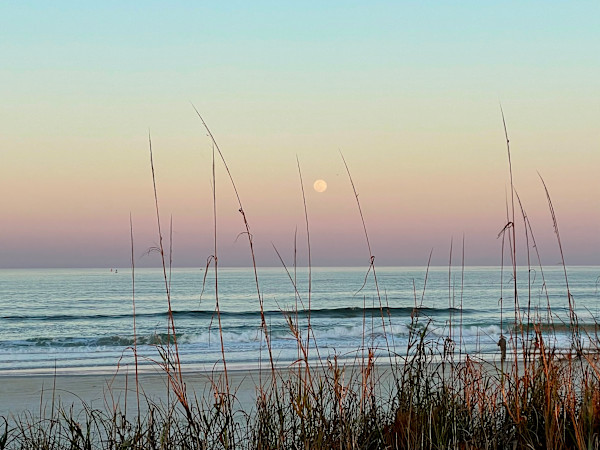 Sunset Moonrise by Eileen Warner, Image 1.