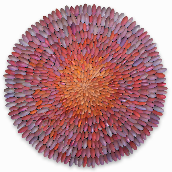 Smoke Tree Blossom by John Whitmarsh