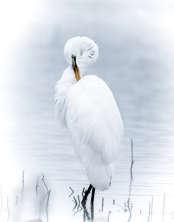 Unspoken Grace by Kathryn Wong, Image 1.