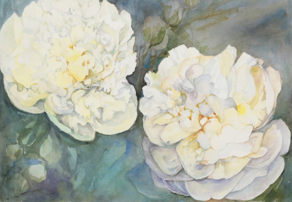 White Peonies by Mary Jane Zander