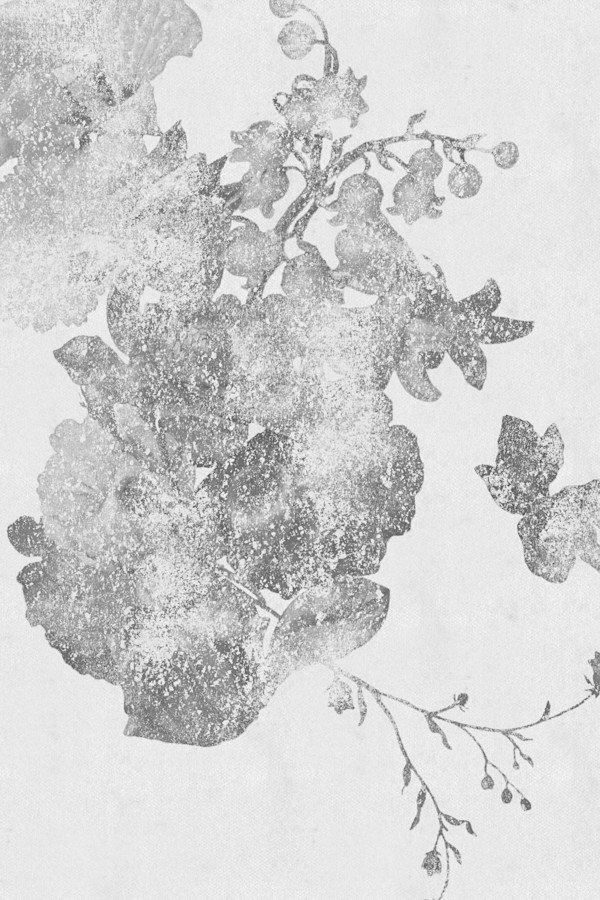 Pressed In Time by Yinxue Zou