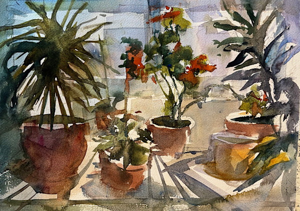 Letting the Light In by Marilyn Rose