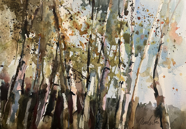 Birches #1 by Marilyn Rose