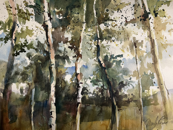 Birches #2 by Marilyn Rose