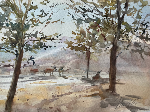 Negev by Marilyn Rose